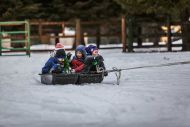 Schlittenfahrende Kinder im Winter bei Schnee